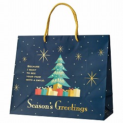 ★58-145-8-1 10枚 手提げ紙袋 クリスマスオーナメン