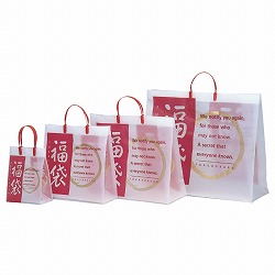 ★58-157-1-1 福袋 フロストバッグ