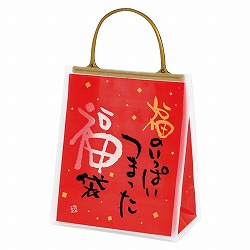 ★58-158-5-1 20枚 福袋 ミニフロストバッグ