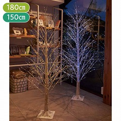 ★58-24-2-1 ホワイトバーチクリスマスツリースタンド