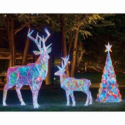 ��58-300-1-1 LED�۸��� ڲ��ް̨�����́i�޲��ذ�j