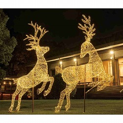 ��58-300-98-2 LED���C���[�g�i�J�C�W�����{