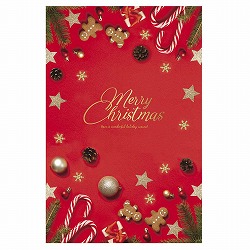 ★58-303-42-1 バックグラウンドシート クリスマスレッド 145×220cm