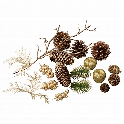 ★58-50-8-2 ミックスベリーパック ゴールド