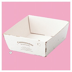 61-284-12-1 Mtgg[ AeB[NzCg