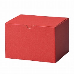 61-285-6-2 Mtg{bNX GW 16x13.5x10.5cm