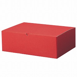 61-285-6-3 Mtg{bNX GW 22x16.5x10.5cm