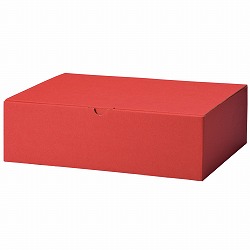 61-285-6-6 Mtg{bNX GW 32×22×9cm