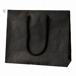 61-313-2-1 񂰎 ׯ 26xs10x22cm