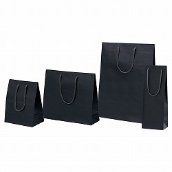61-313-3-1 װ񂰎  20xs12x25cm