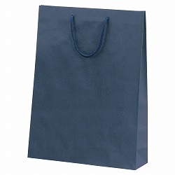 61-313-4-7 װ񂰎  33xs10x45cm