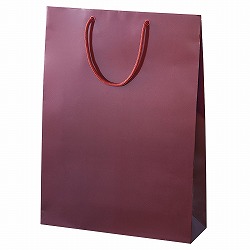 61-314-3-10 uCgobO GW 33×10×45cm