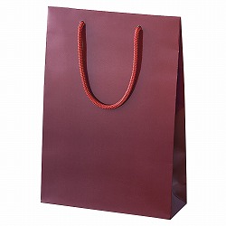 61-314-3-20 uCgobO GW 22.5×8×32cm