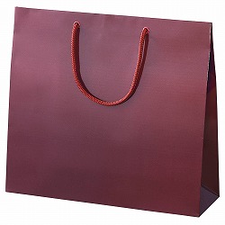 61-314-3-9 uCgobO GW 33×10×30cm