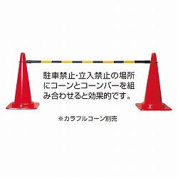 61-377-8-1 R[o[ R[o[