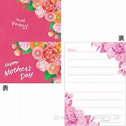 bZ[WJ[h Mothers Dayi50j FG1-0343