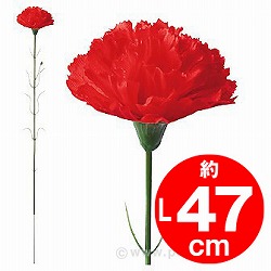 J[l[Vij MA1-0027