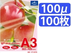��20706 ���~�l�|�g�t�B����(100��) A3�T�C�Y 100��
