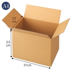 61-812-70-9 ^_{[ 31×22×23cm