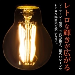 61-815-83-1 ΉLED̨ߓd^60W`