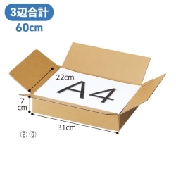 61-318-4-2 ް 31xs22x7cm