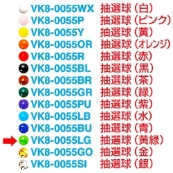 I i΁j VK8-0055LG
