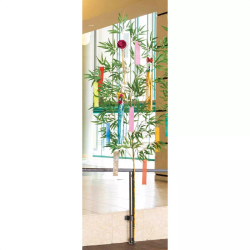 55-2-3-1 [(g) 240cm
