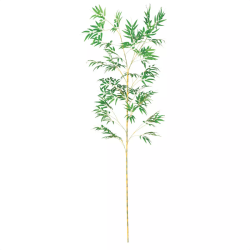 55-2-3-2 [(g) 270cm