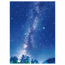 55-6-7-1 ޯ׳޼ [V̐ 175×240cm