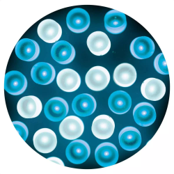 55-7-8-2 [LED100Xg[gCg10m