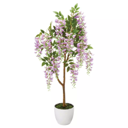 55-9-4-2 EBXeAc[()110cm