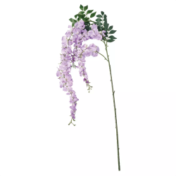 55-9-5-3 ̓}ԃXv[ p[v