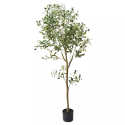 55-20-3-1 lH؃I[u 150cm
