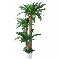 55-21-3-1 lH؁yK̖؁z 180cm