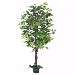 55-21-4-1 lH؃xW~ 150cm