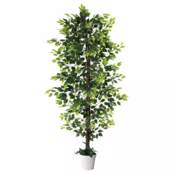 55-21-5-1 lH؃xW~ 210cm