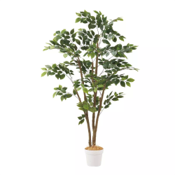 55-22-4-1 lH؃}EeAbV 150cm