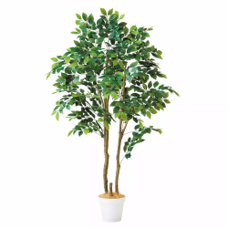 55-22-4-2 lH؃}EeAbV 180cm