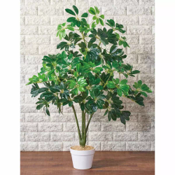 55-22-5-1 lH؃VFt 100cm