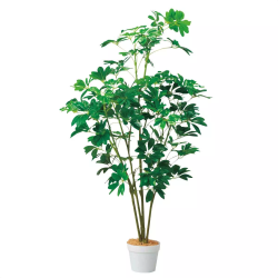 55-22-5-2 lH؃VFt 135cm