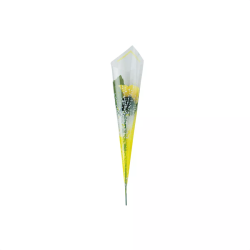 55-38-5-4 o bvCG[ 11.5cm