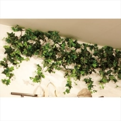 ��61-174-2-1 �O���[���V�_���K�[�����h