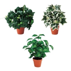 ��61-174-11-1 �y3�z�O���[���u�b�V���|�b�g