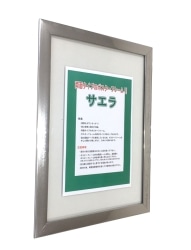 ���T���GB1 �K���X�ɓ\���V���o�|�X�^�[�t���[��