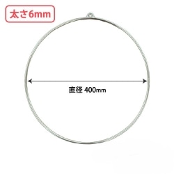 �������O(�X�`�[����) ���a400mm ����6mm 2�� CD779