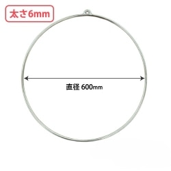 �������O(�X�`�[����) ���a600mm ����6mm 2�� CD781