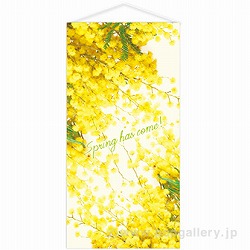 Spring has comeI^yXg[ TC1-0056