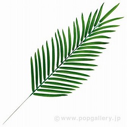 p[Xv[ TI2-0107