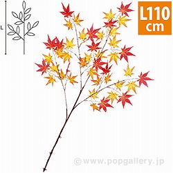 ݂}ibh/IWj TI4-0123