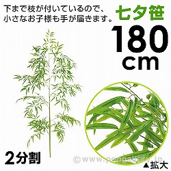 180cmou[c[ TT2-4014